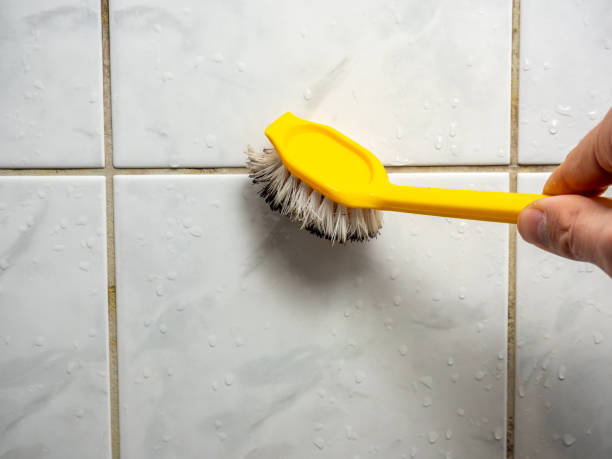 Best Office Mold Removal Services  in Palermo, NJ