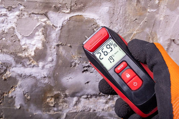 Certified Mold Removal in Palermo, NJ